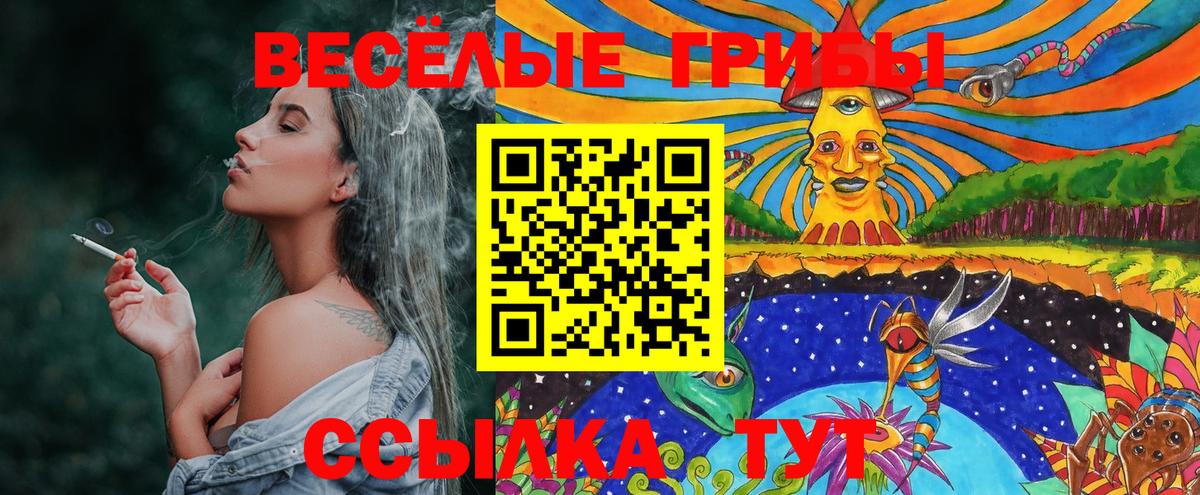 Псилоцибиновые грибы мухоморы  Галлюциногенные грибы MAGIC MUSHROOMS  Дмитров  Вход с VPN 