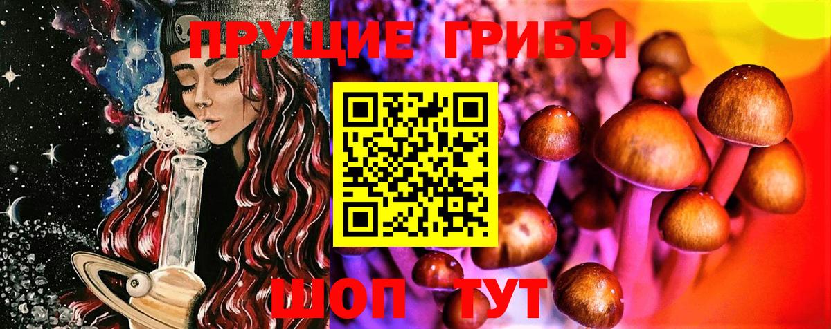 Галлюциногенные грибы мицелий Дмитров