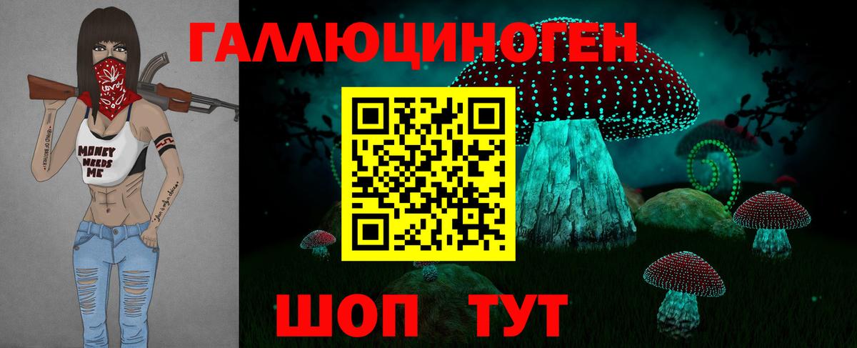 Галлюциногенные грибы Дмитров